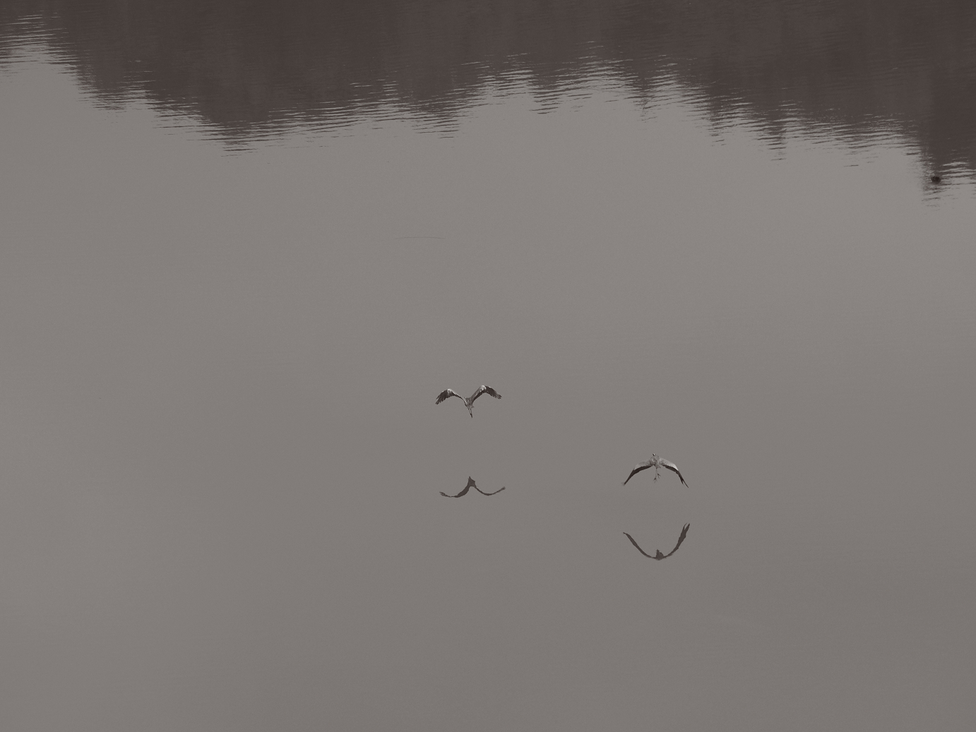 PA030044-.jpg