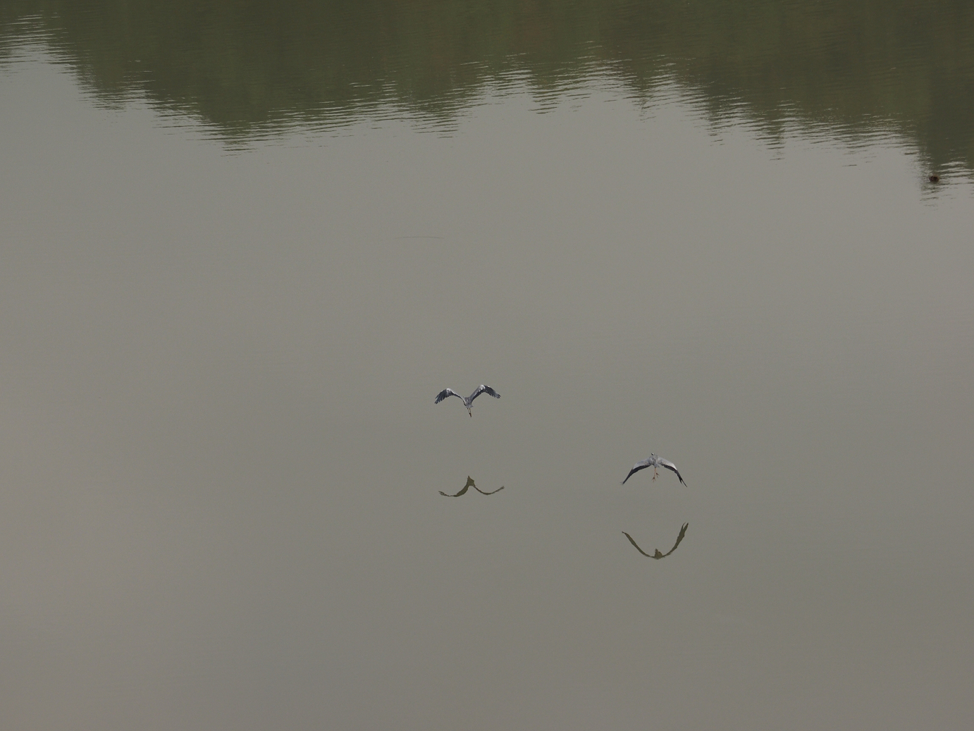 PA030044.jpg