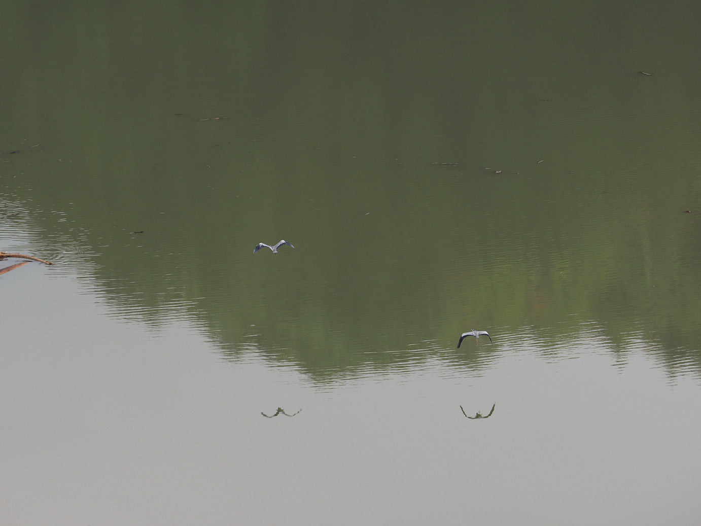 PA030045.jpg