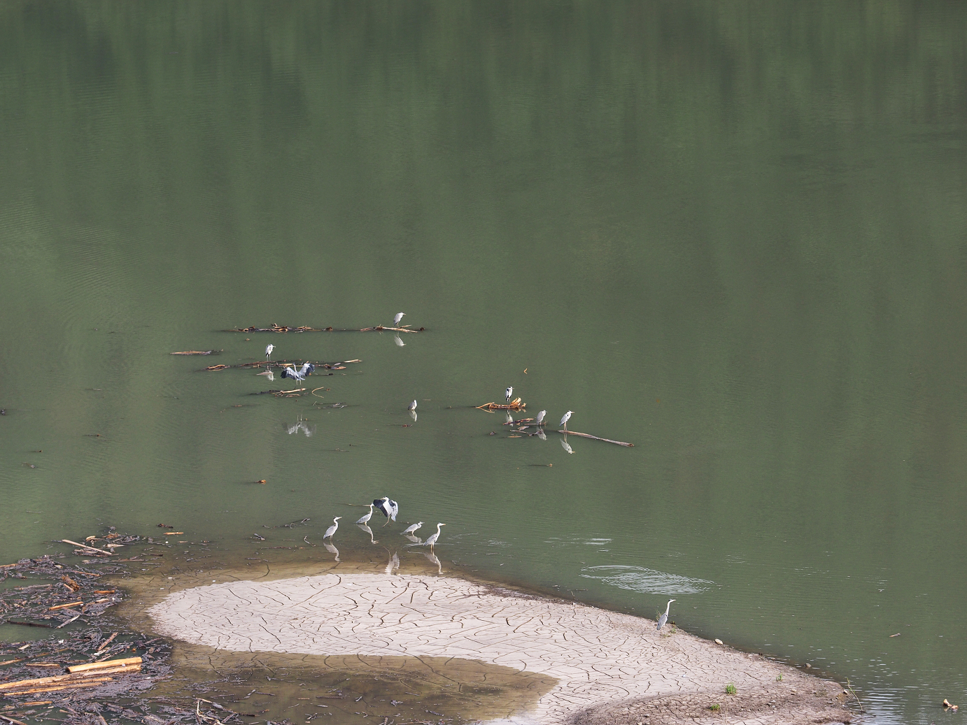 PA030046.jpg