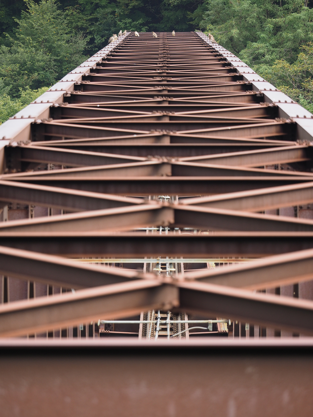 PA030055.jpg