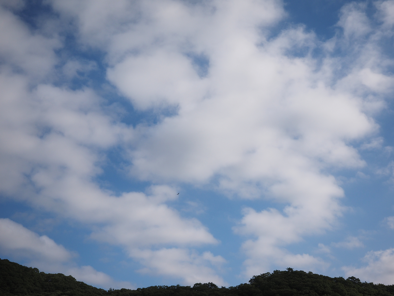 PA030102.jpg