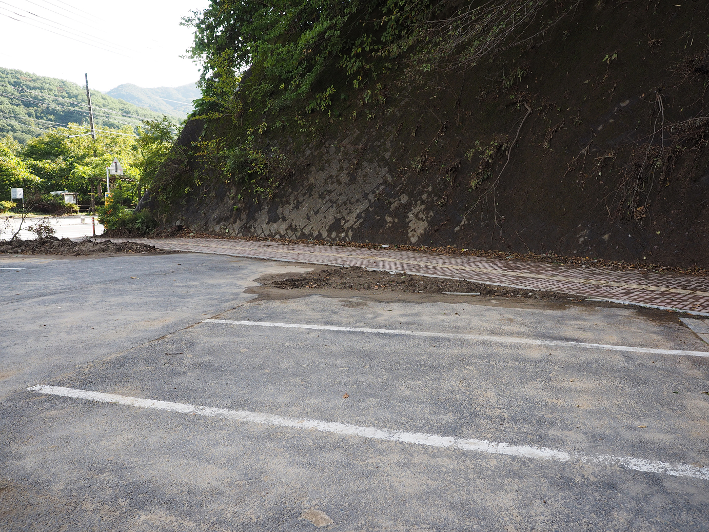 PA030154.jpg