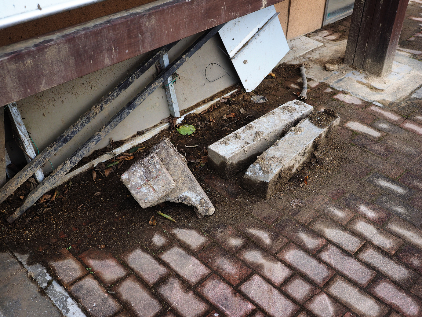 PA030156.jpg
