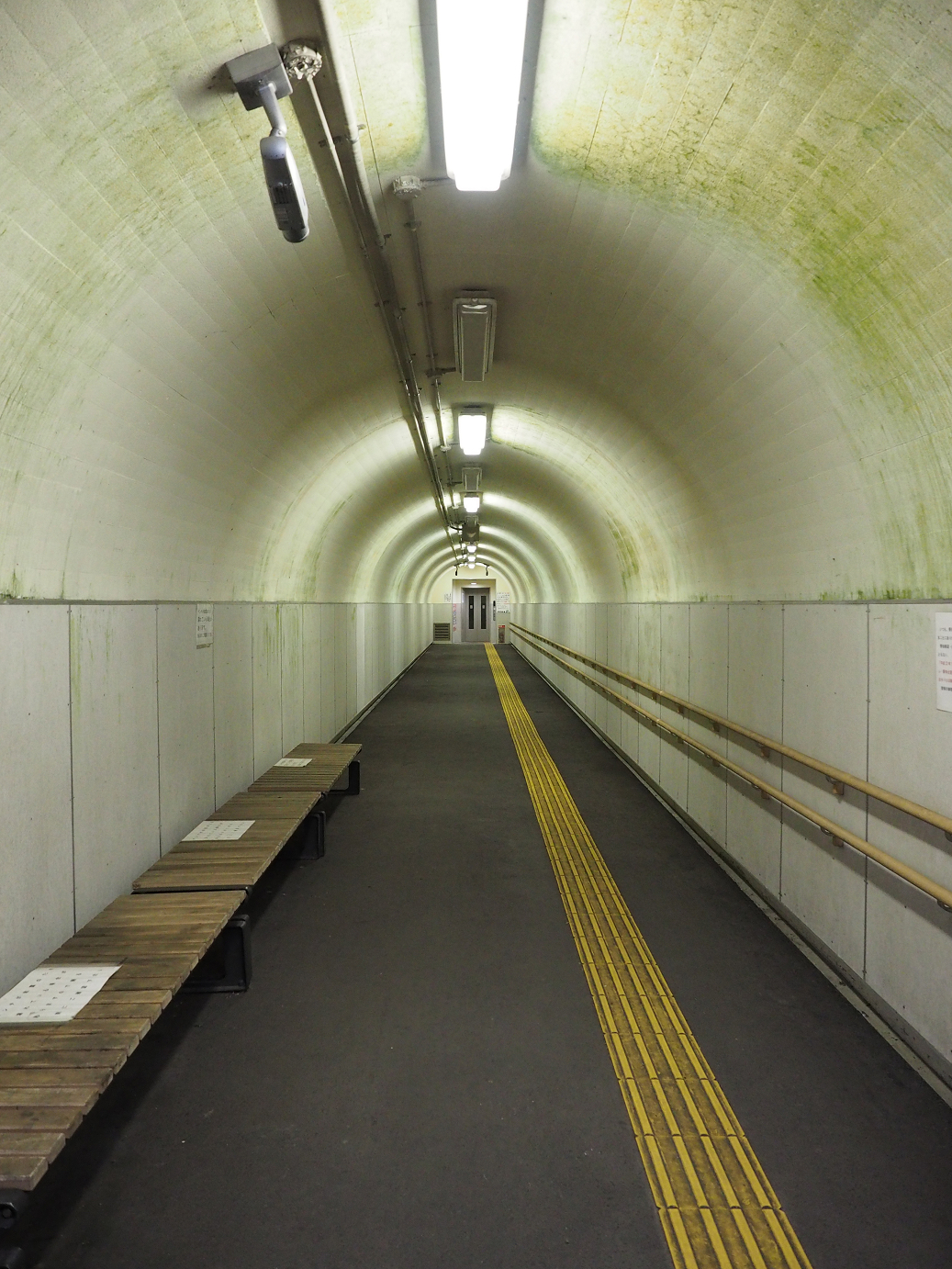 PA030176.jpg