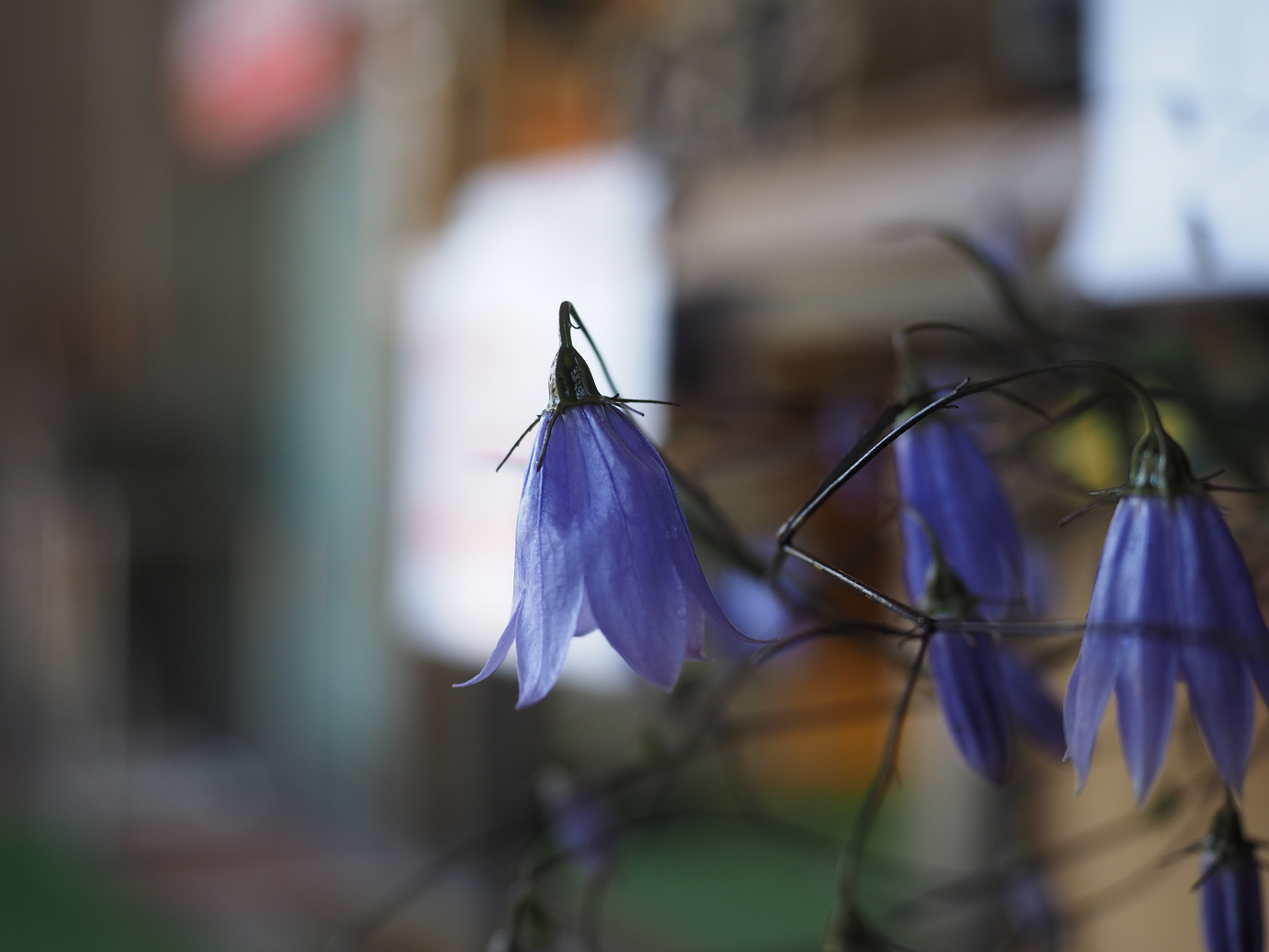 PA030213.jpg