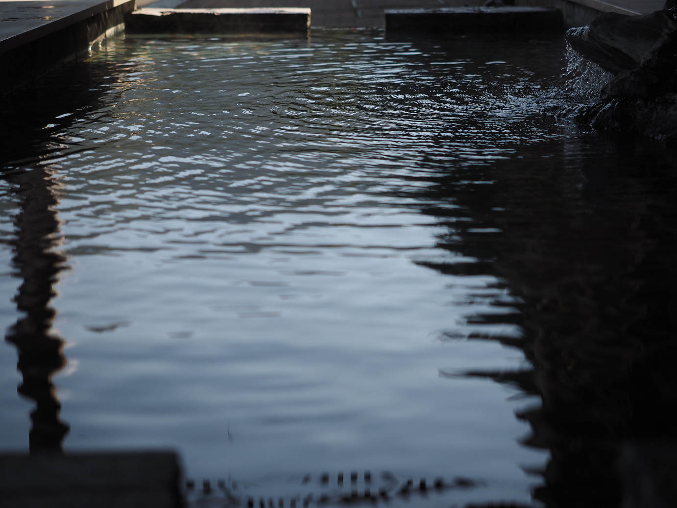 PA030217.jpg