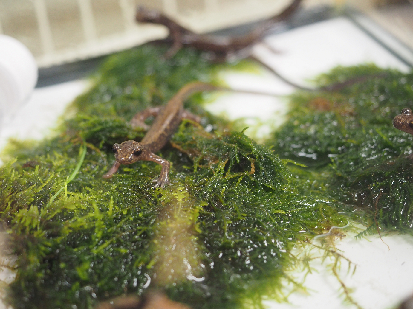 PA030225.jpg