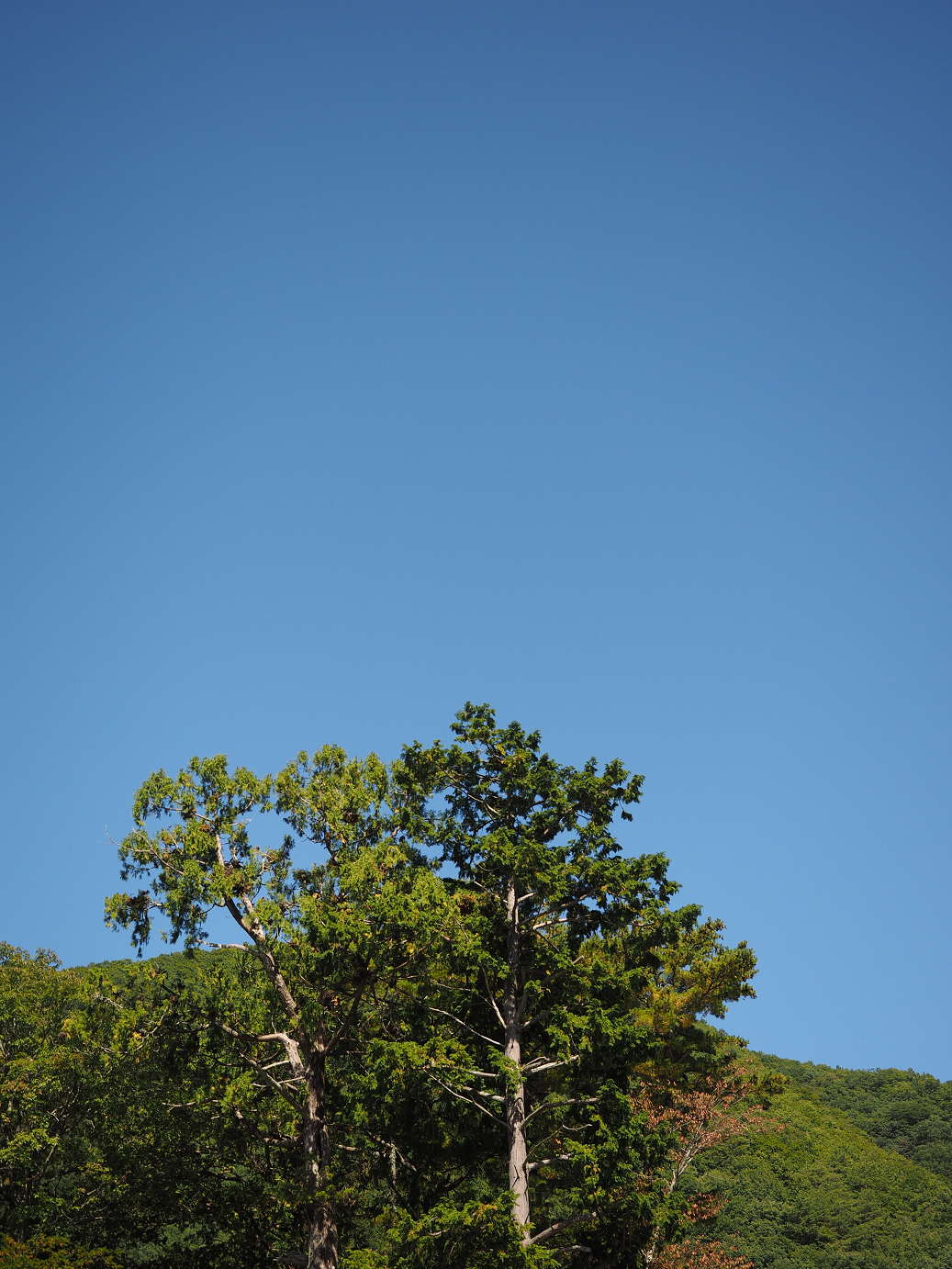 PA030263.jpg
