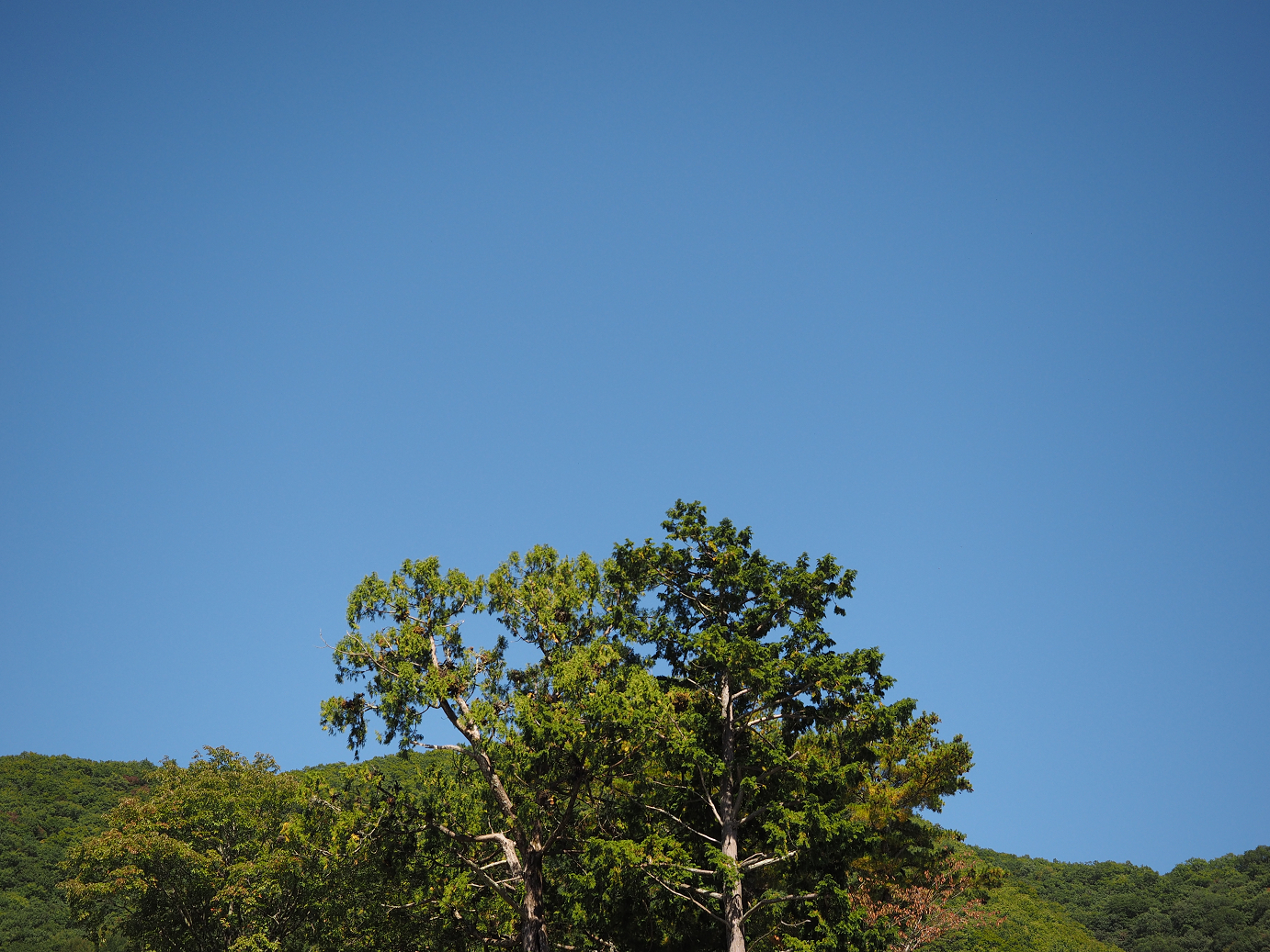 PA030264.jpg