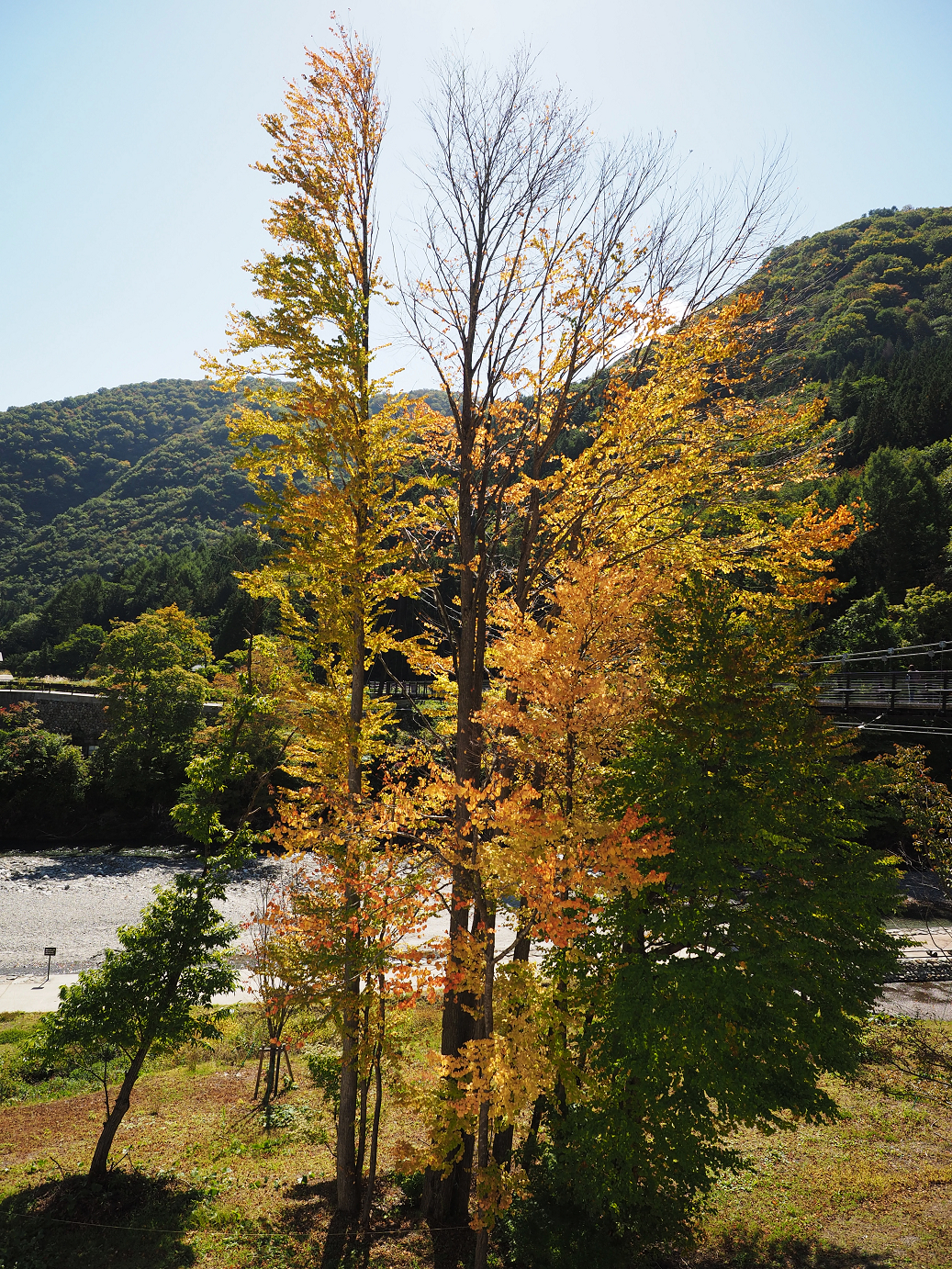 PA030268.jpg