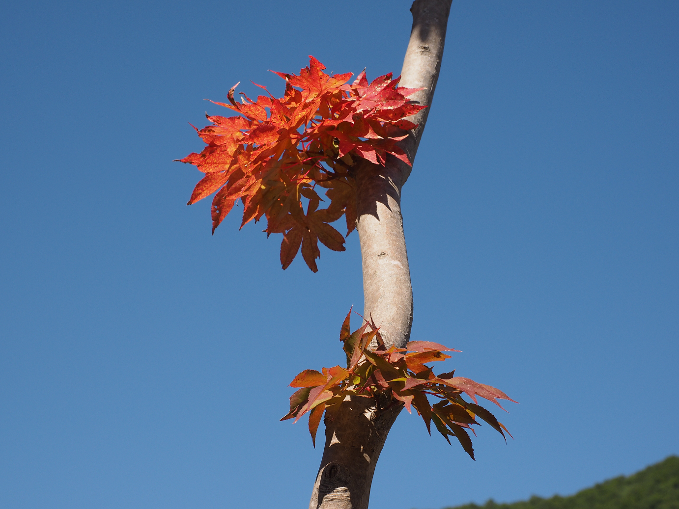 PA030275.jpg
