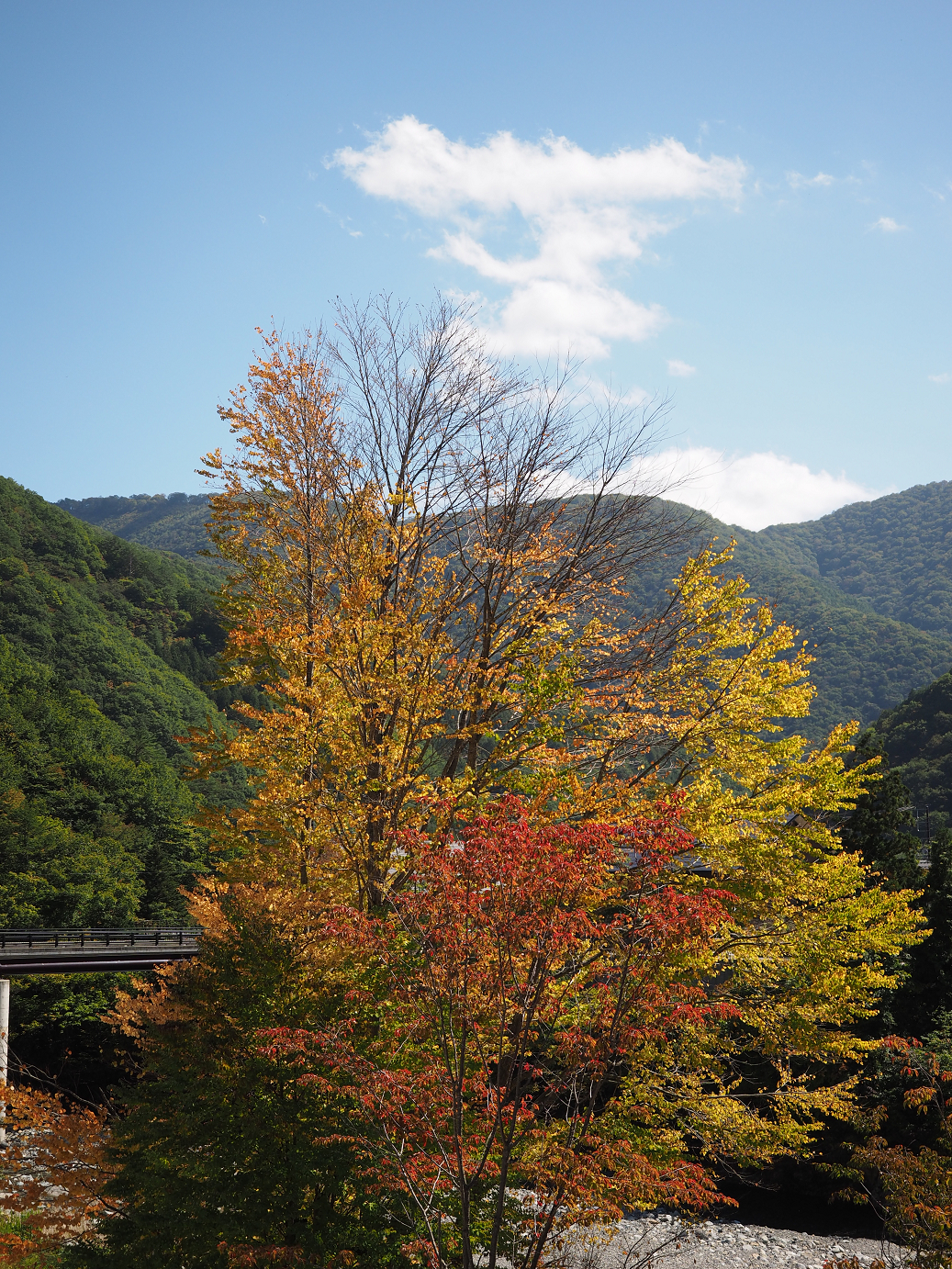 PA030281.jpg