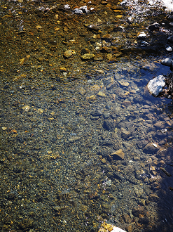 PA030284_thumb.png