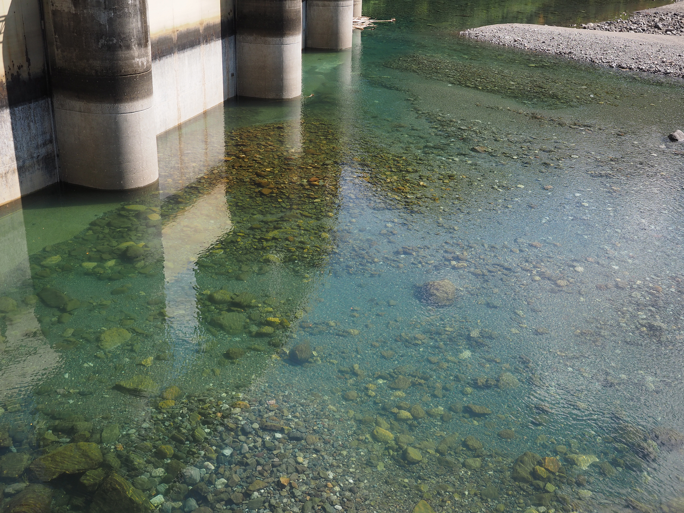 PA030298.jpg
