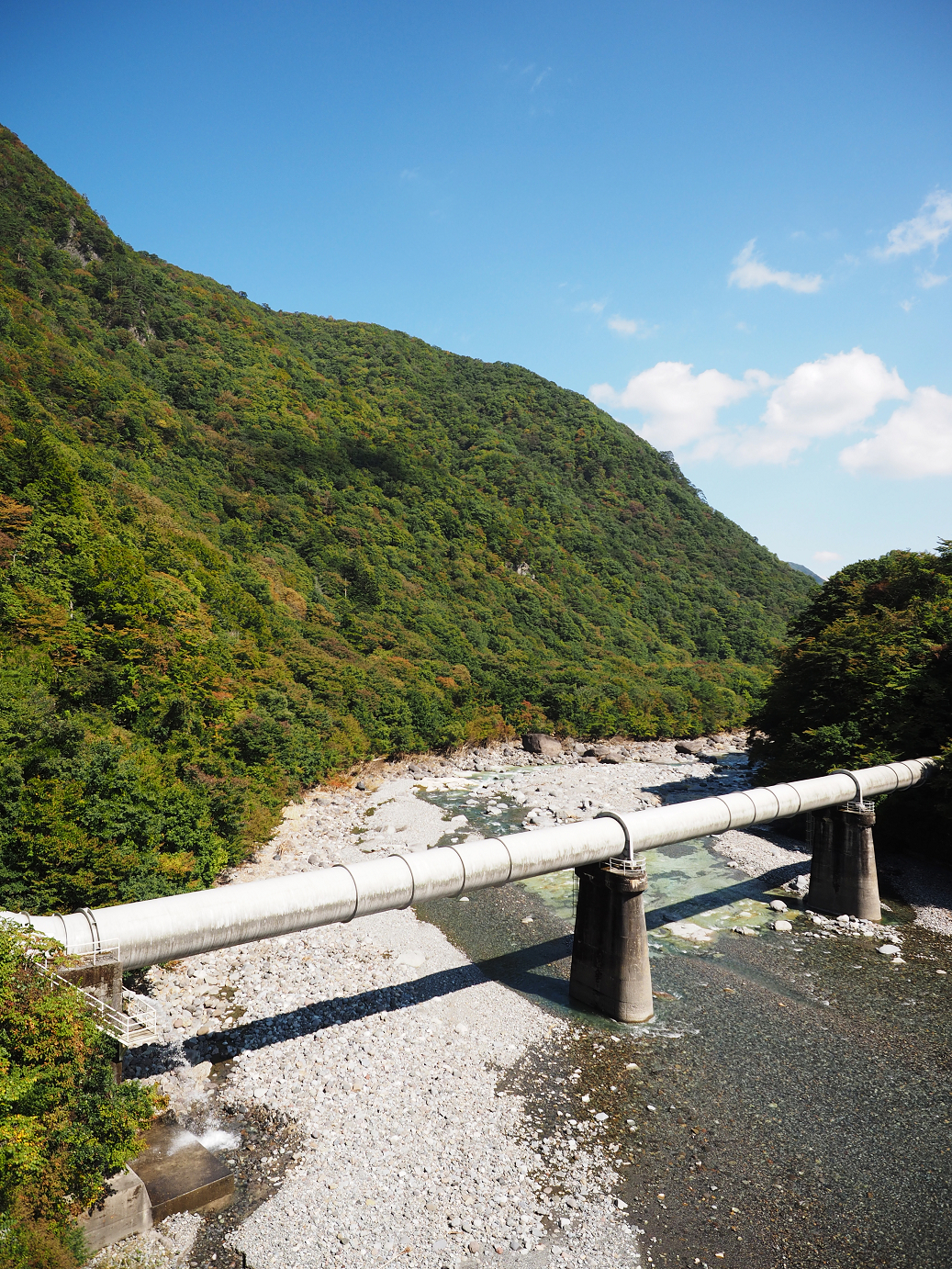 PA030306.jpg