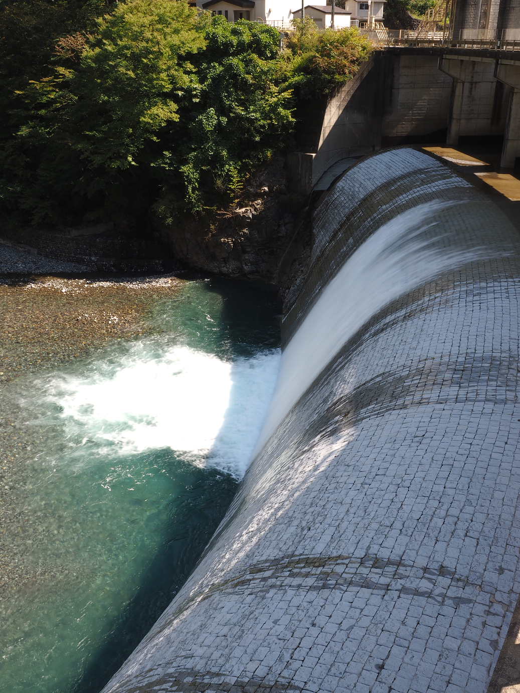 PA030313.jpg