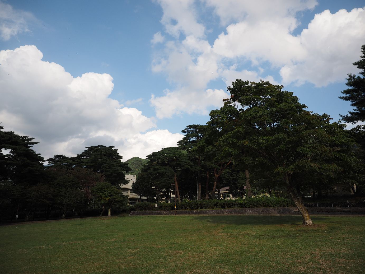 PA030375.jpg