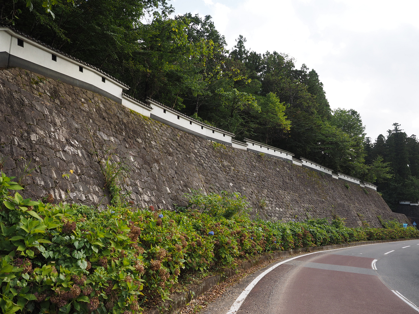 PA030419.jpg