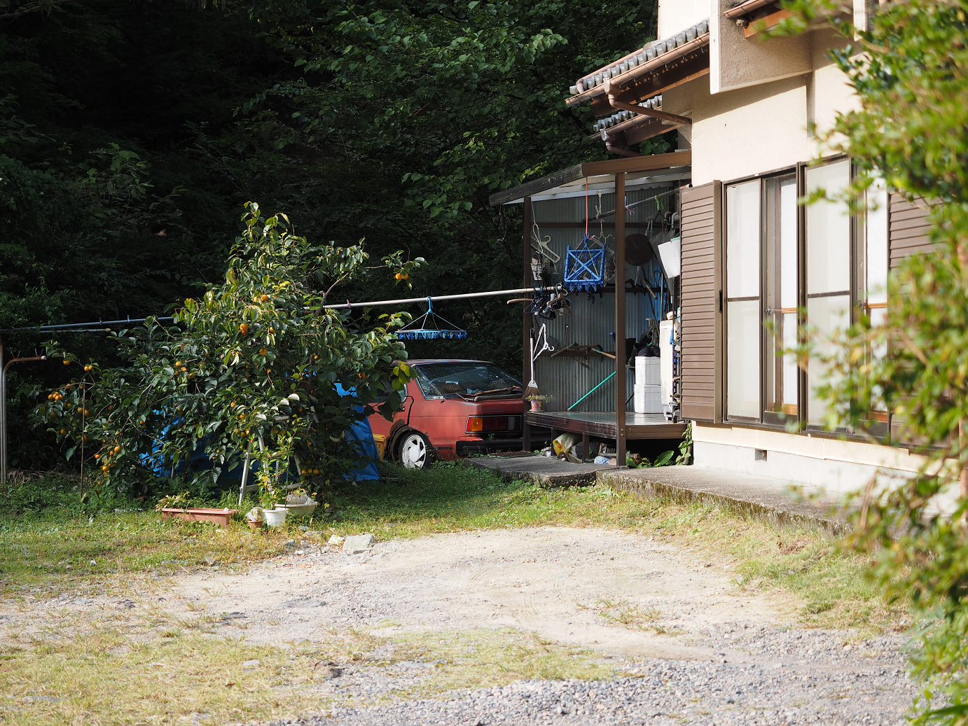 PA030428.jpg