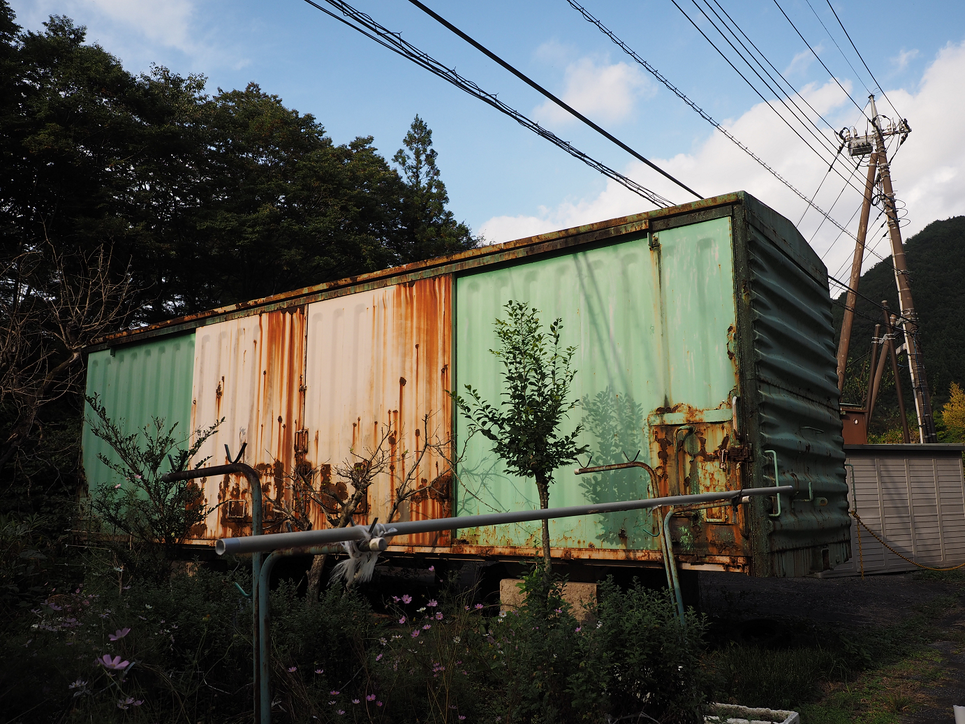 PA030429.jpg