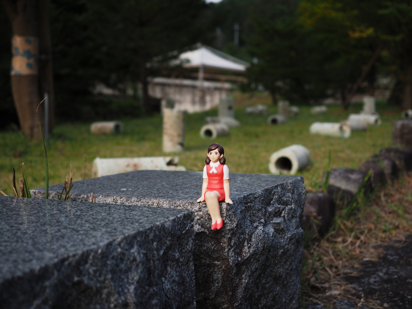 PA030443.jpg