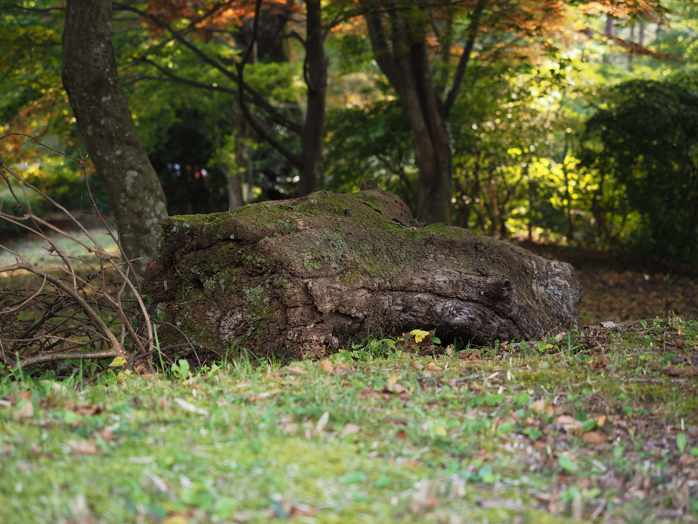 PA030450.jpg