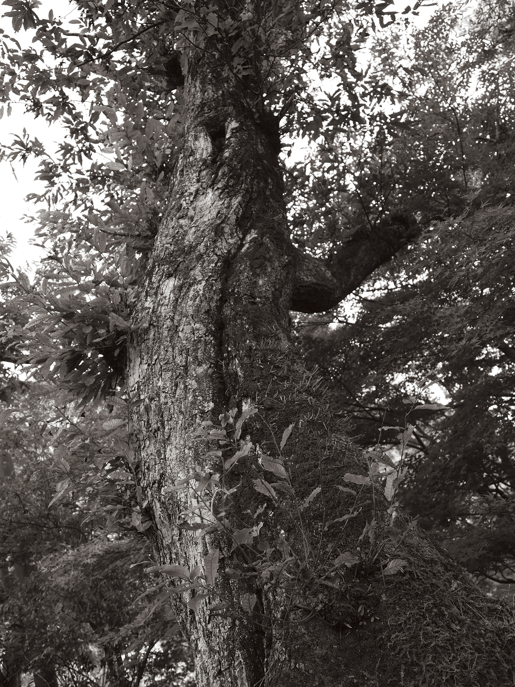 PA030453-.jpg