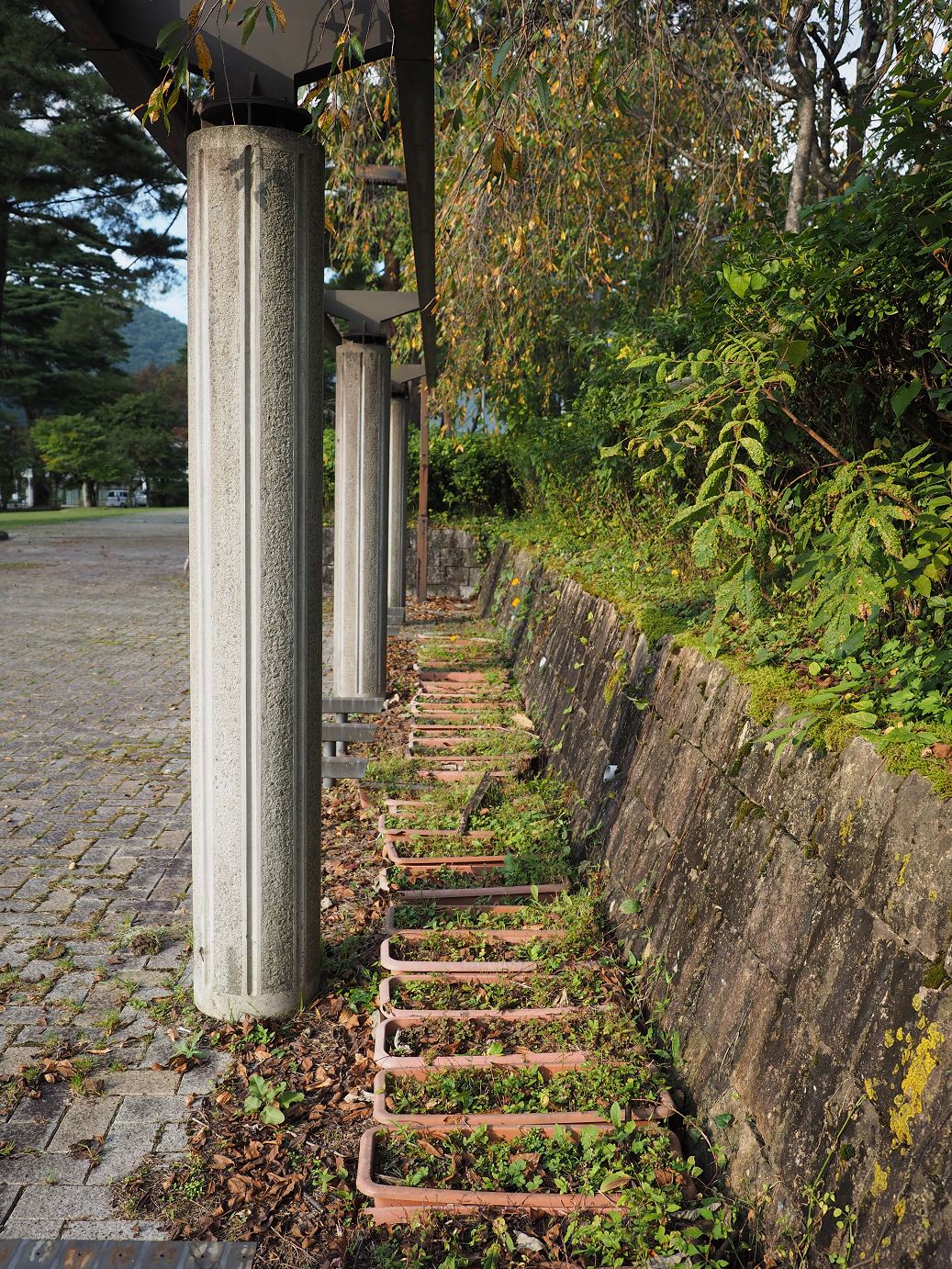 PA030454.jpg