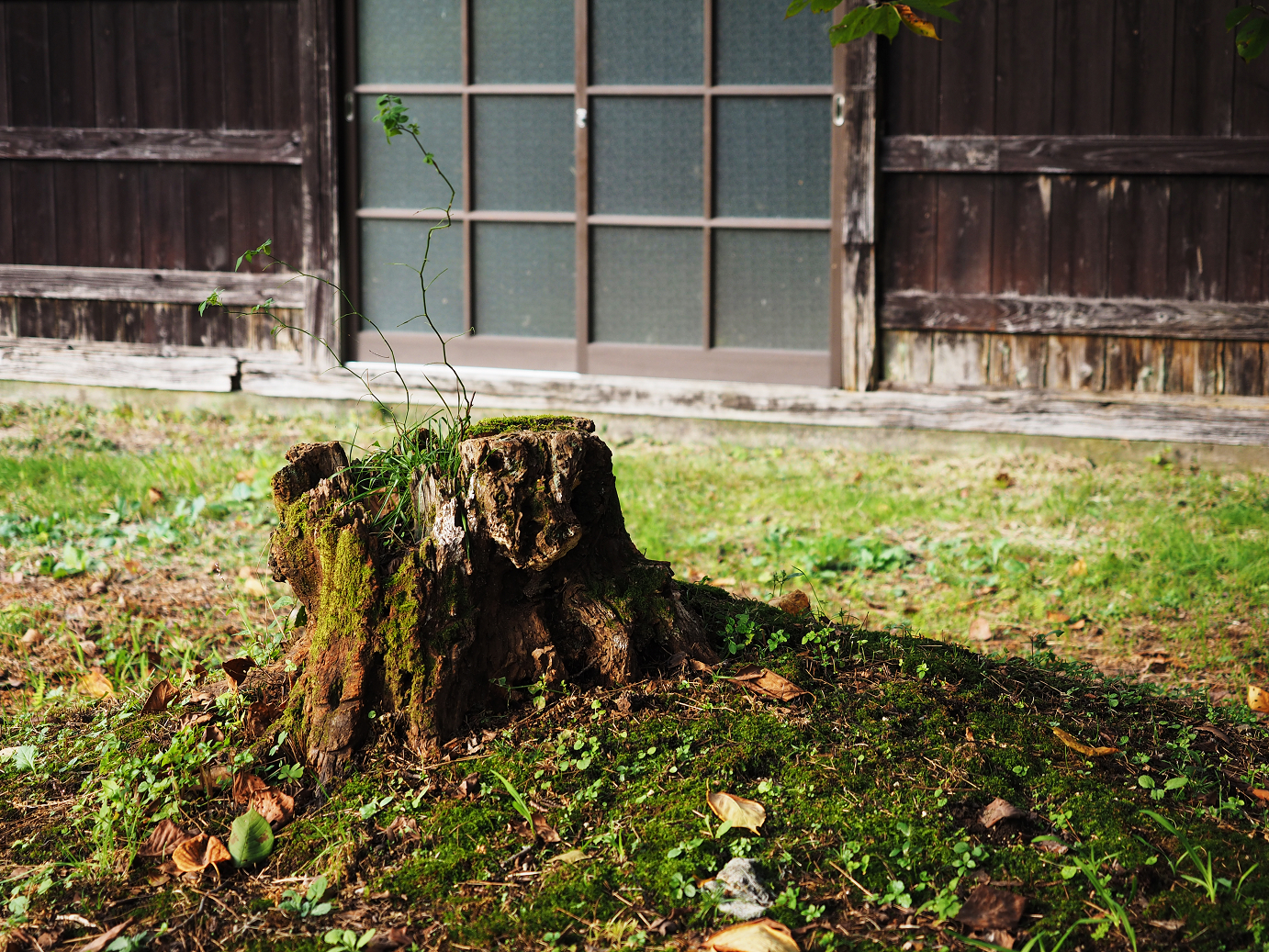 PA030457.jpg