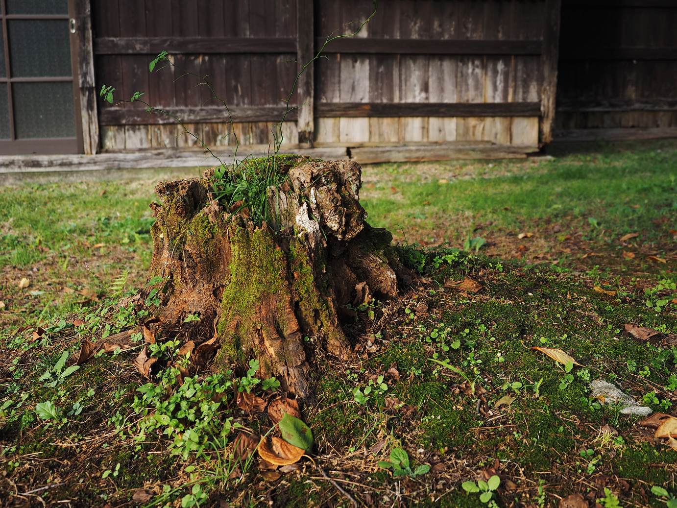 PA030458.jpg
