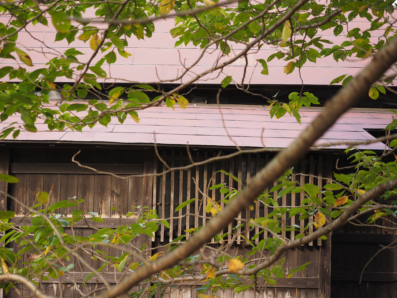 PA030460.jpg