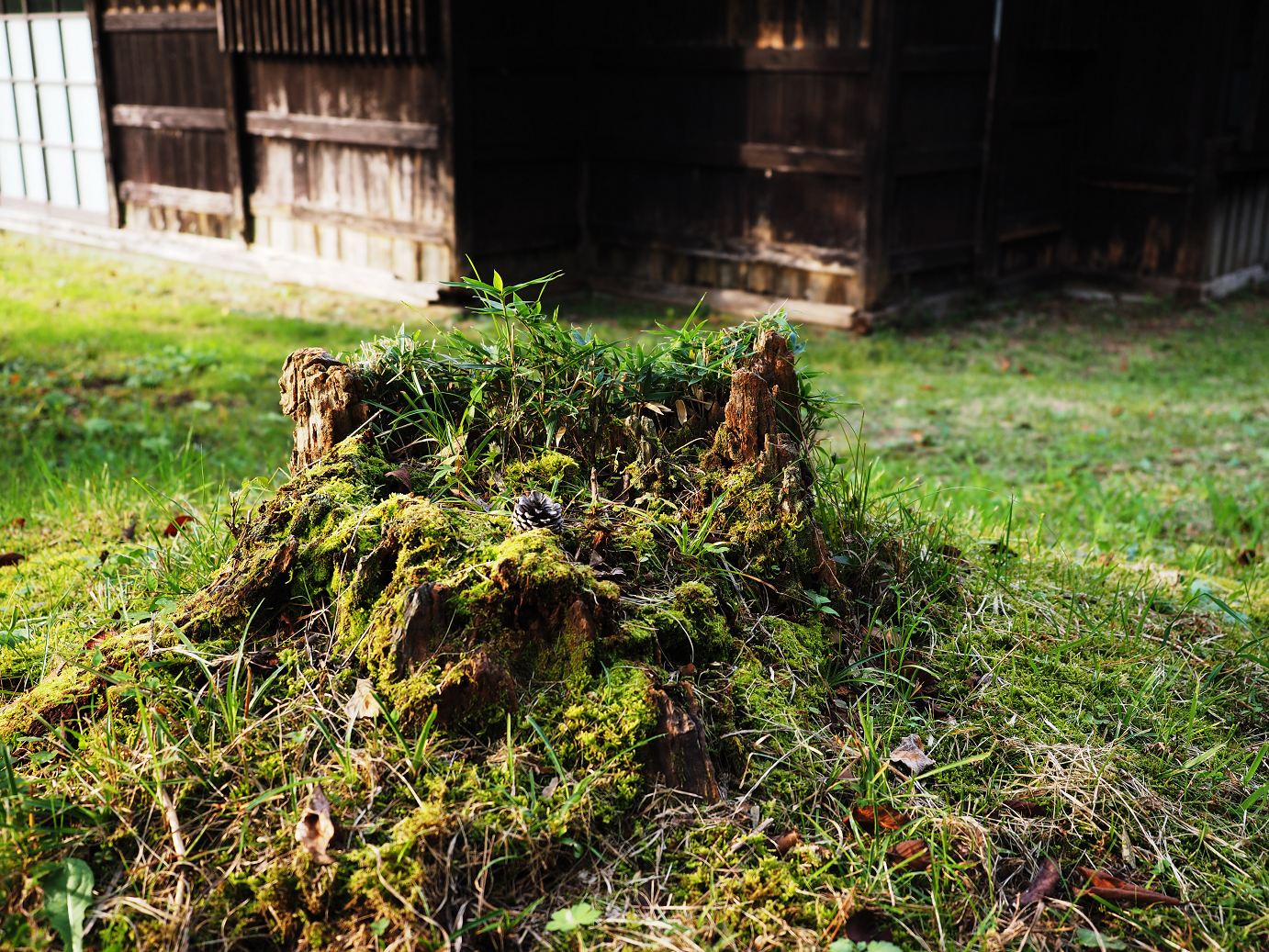 PA030461.jpg