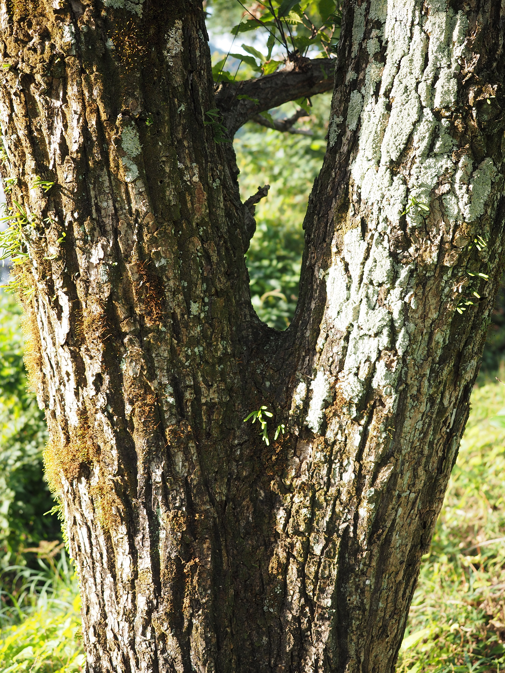 PA030477.jpg