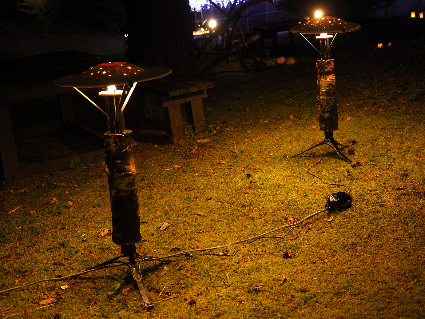 PA030521.jpg