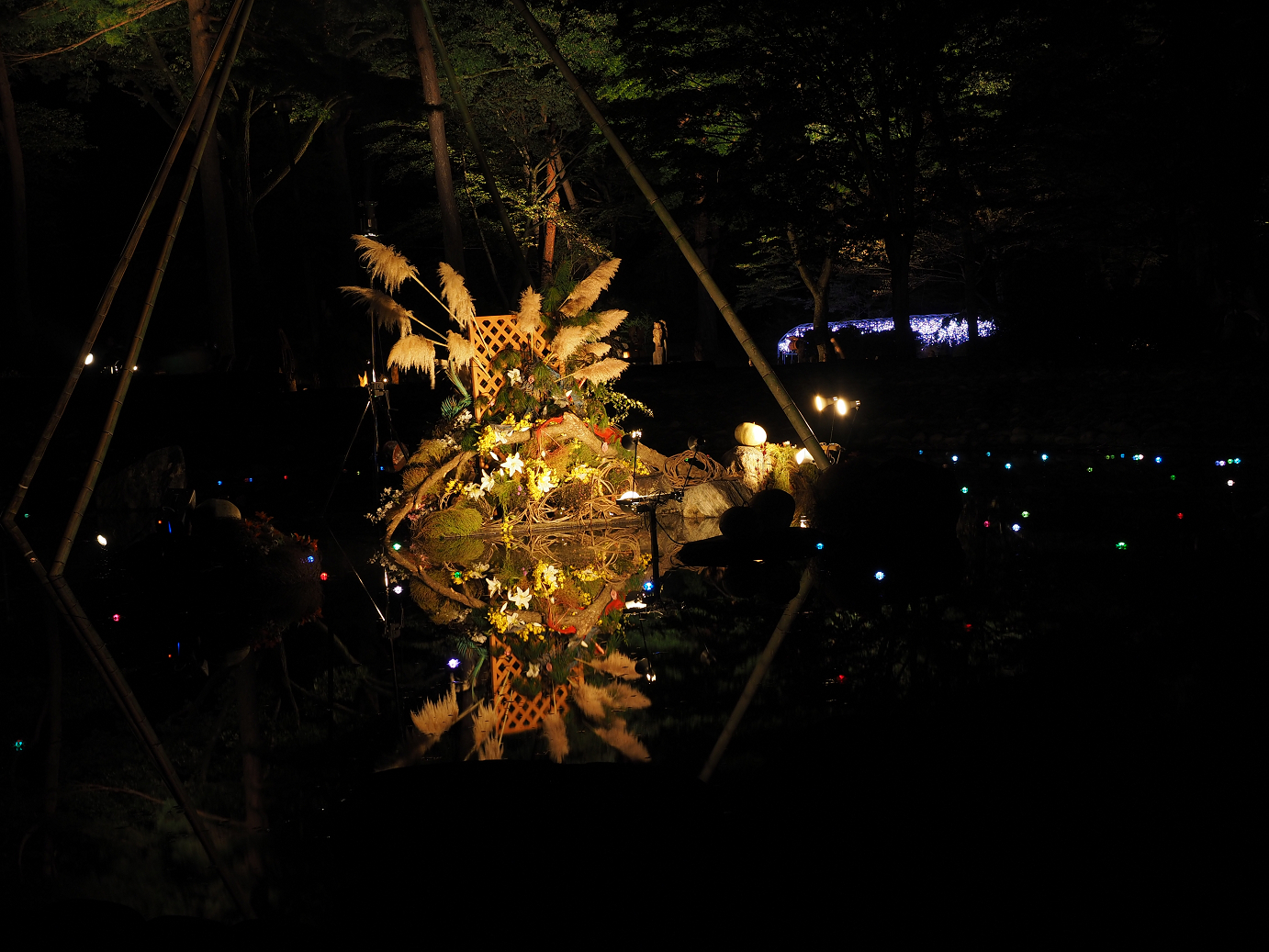 PA030534.jpg