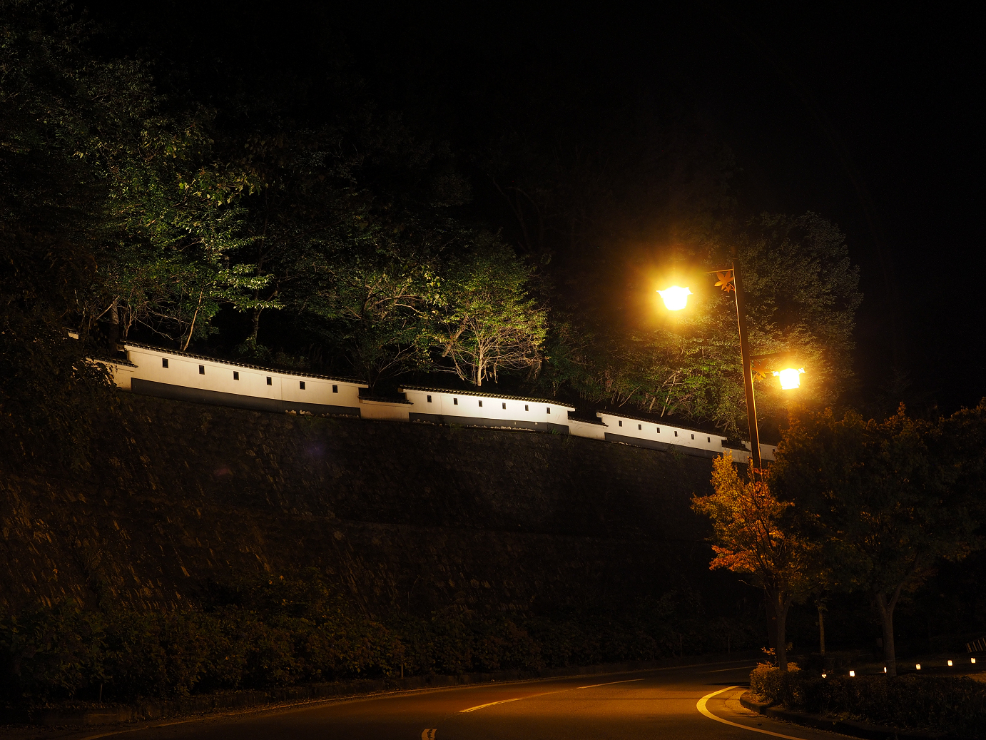 PA030555.jpg