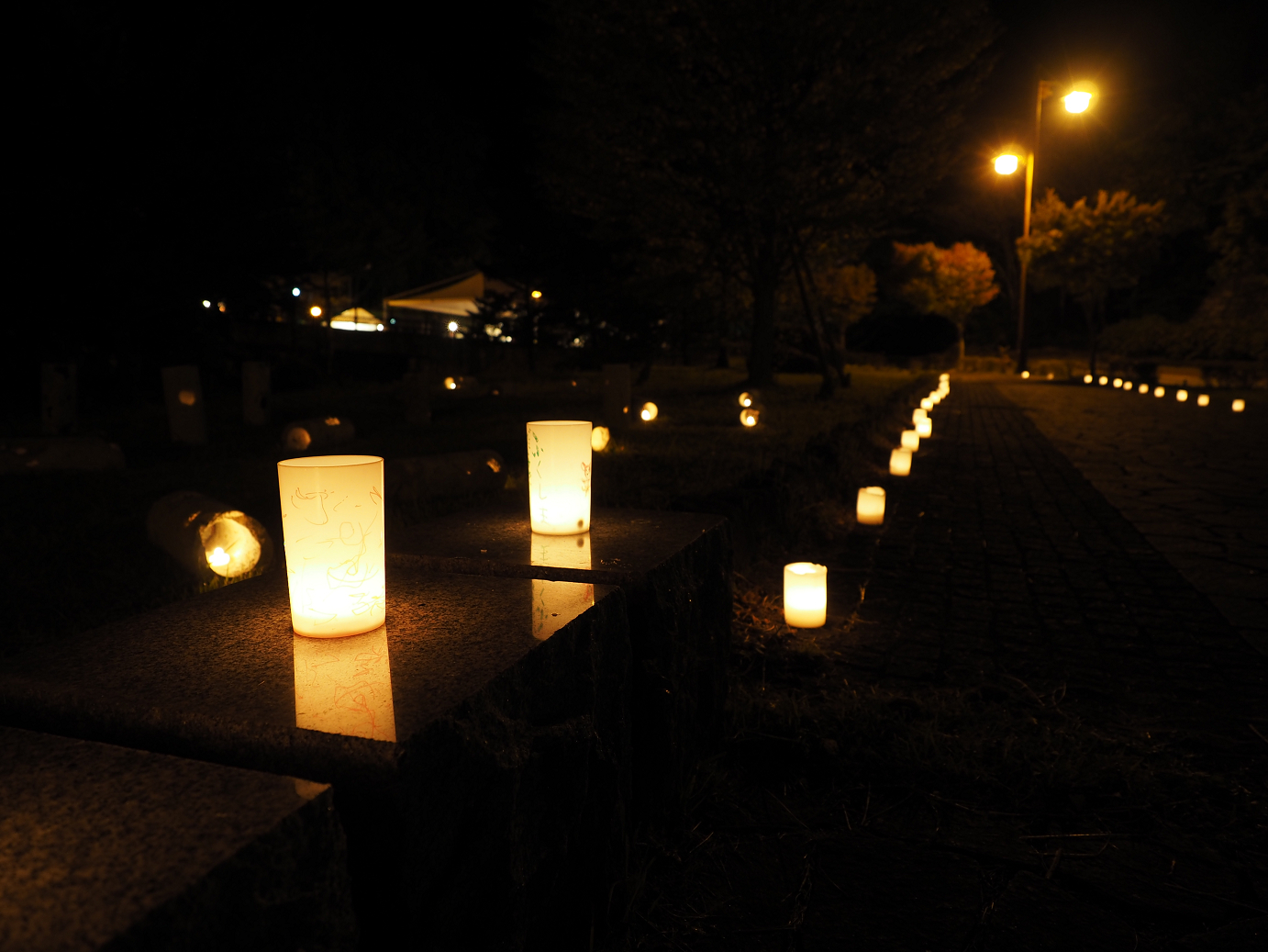 PA030559.jpg
