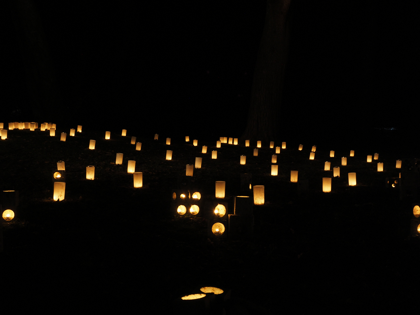 PA030673.jpg