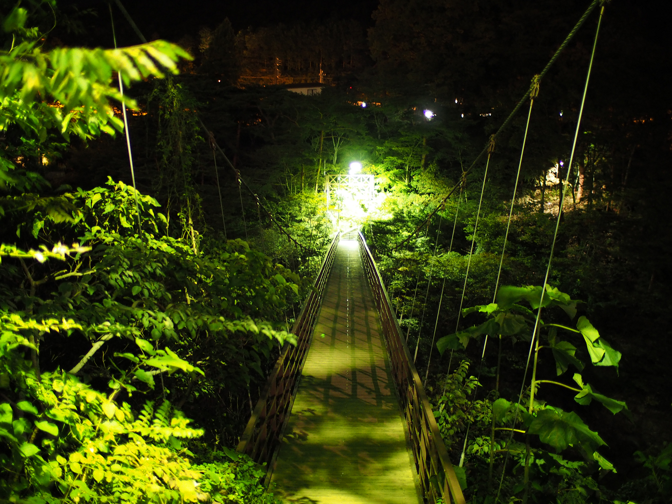 PA030698.jpg