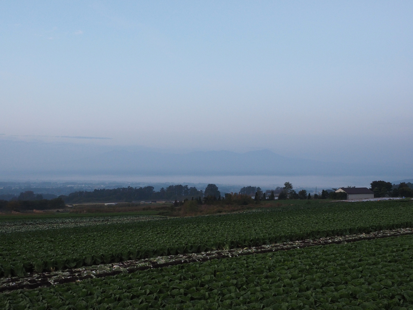 PA100007.jpg