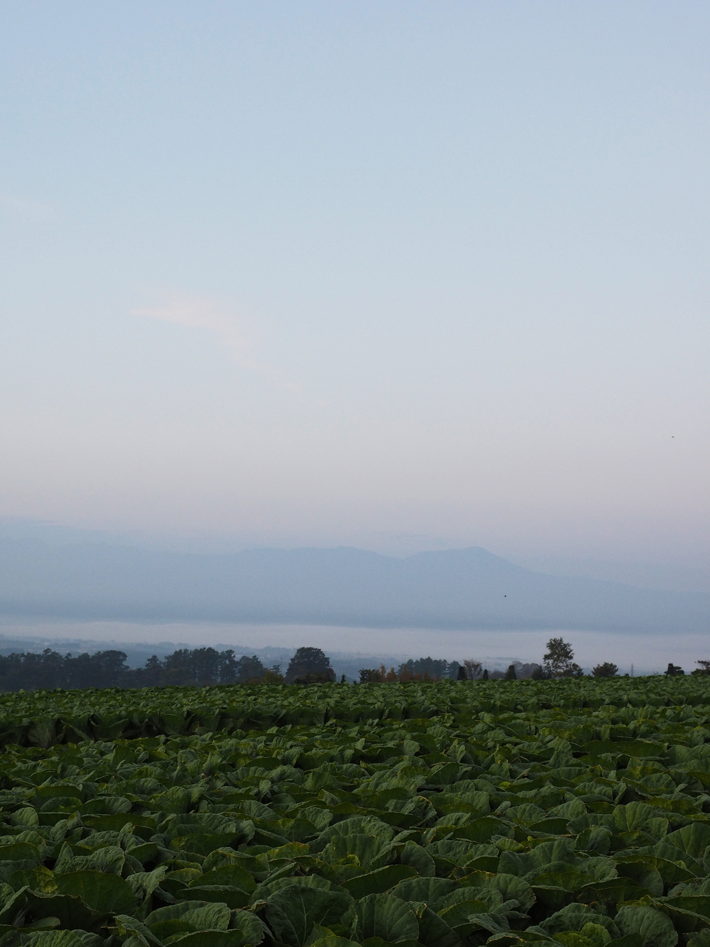 PA100017.jpg