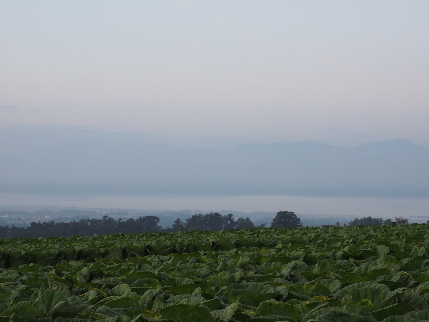 PA100027.jpg