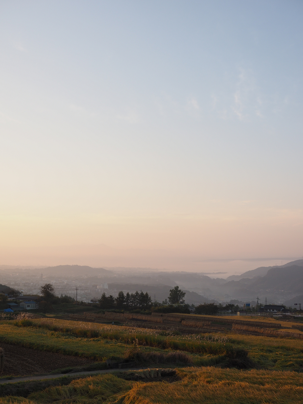 PA100060.jpg