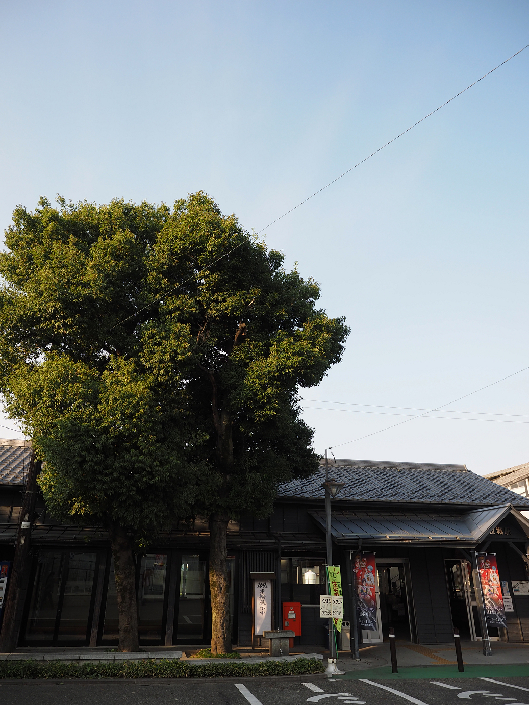 PA100131.jpg