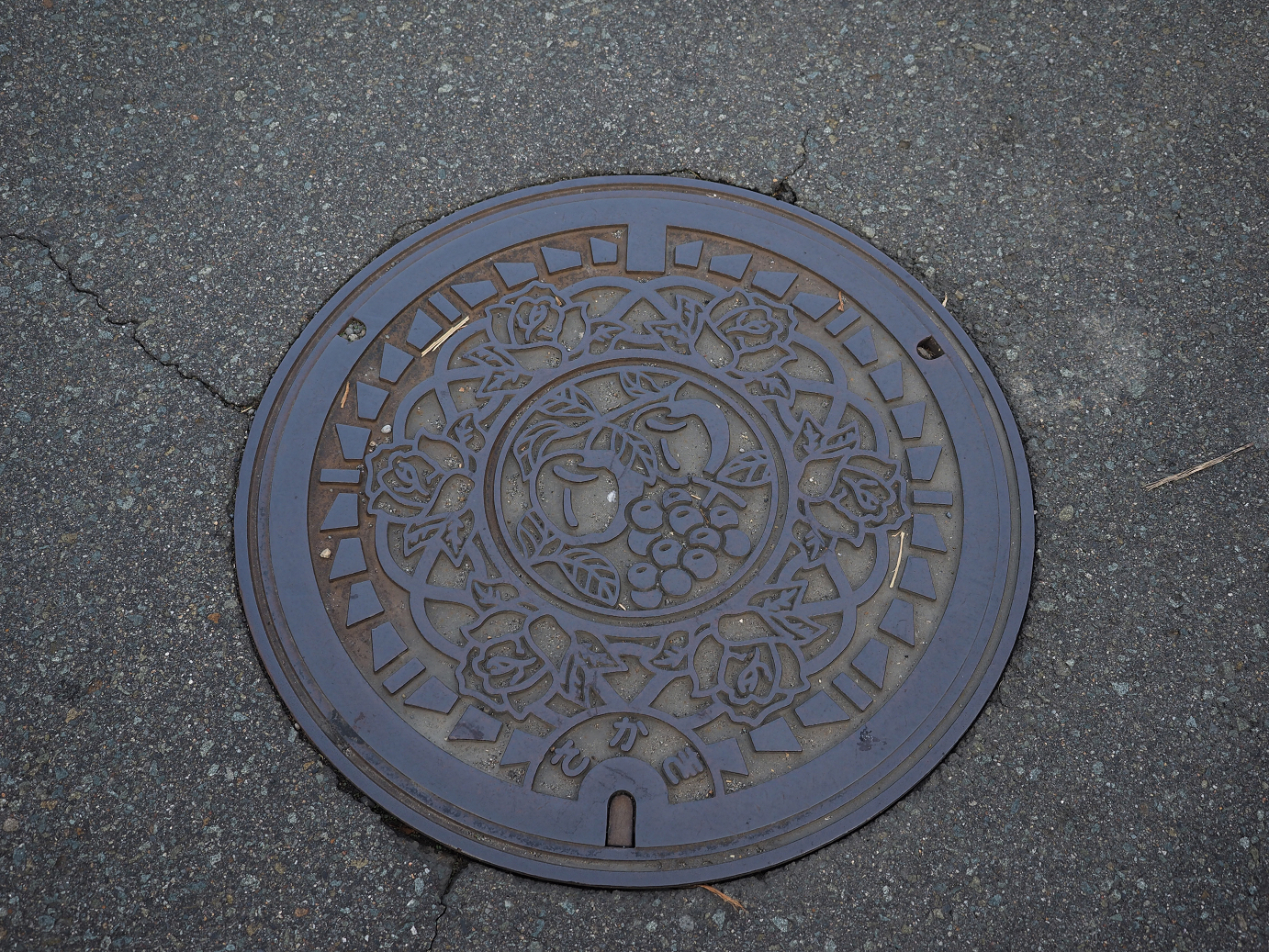 PA100132.jpg