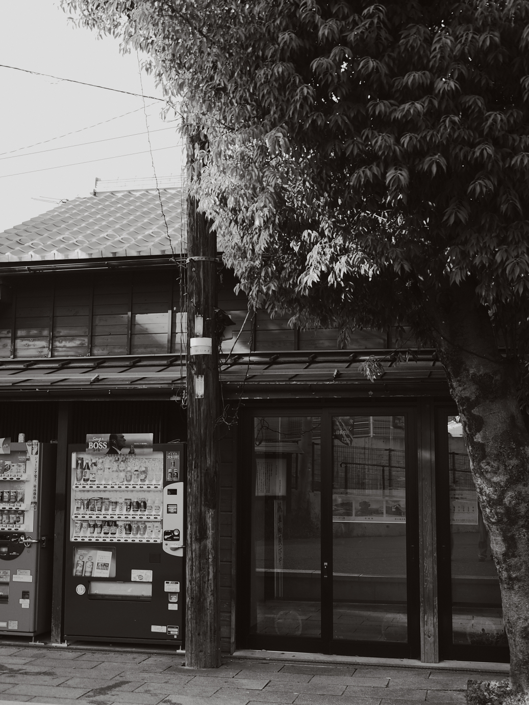 PA100133.jpg