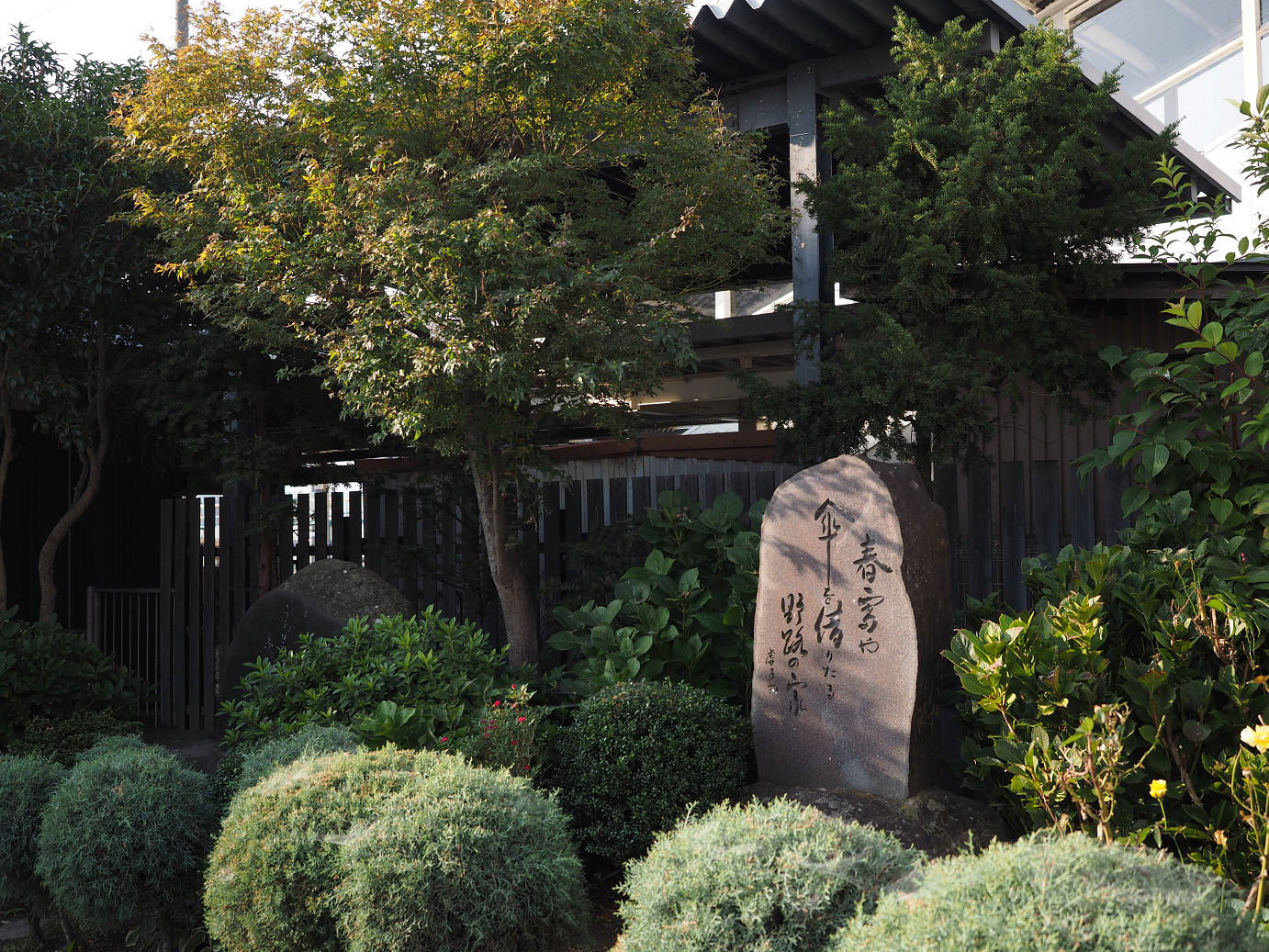 PA100147.jpg