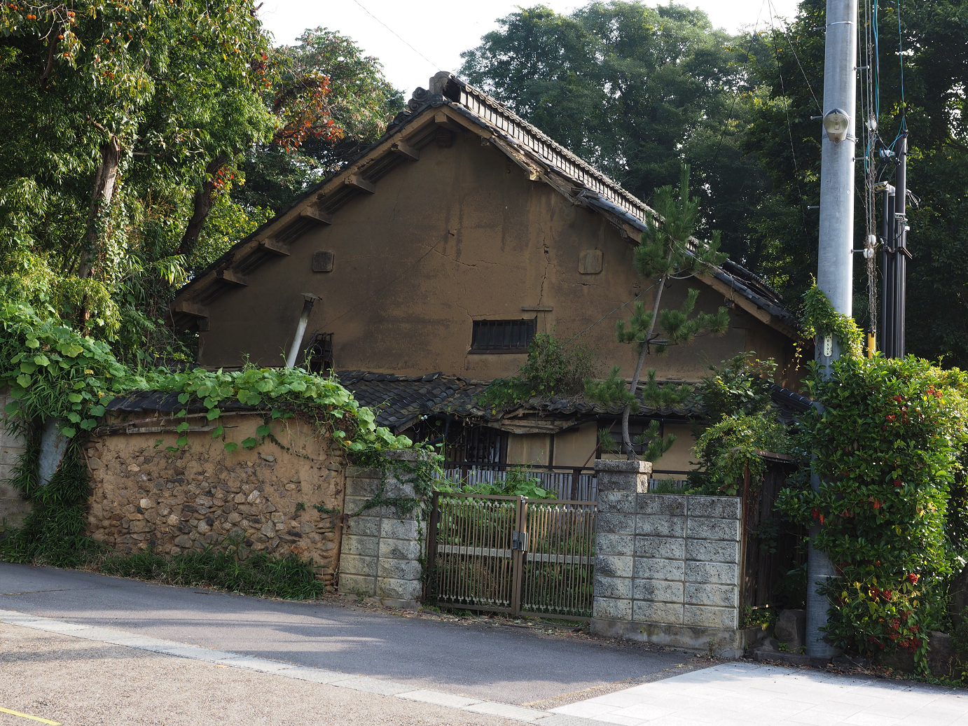 PA100218.jpg