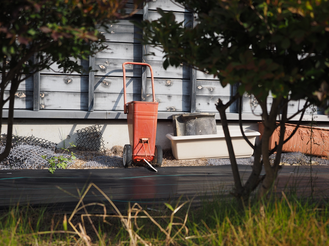 PA100229.jpg